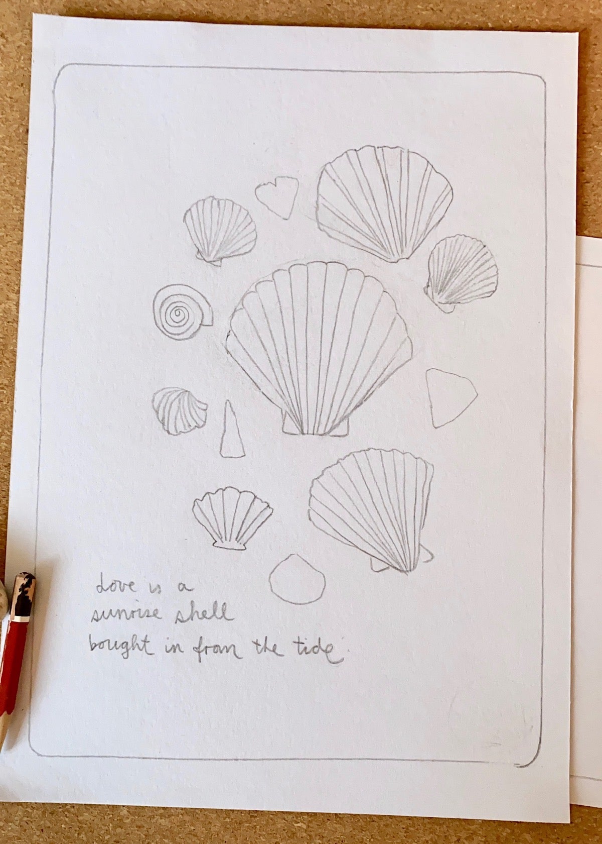 love is a shell ♡  original